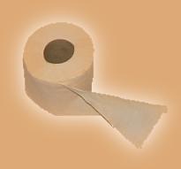 Picture of a toilet roll - an essential part of your packing!