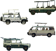 A sample of typical safari vehicles